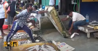 বর্ষা ও নিষেধাজ্ঞার প্রভাবে সাতক্ষীরায় মাছের বাজারে অস্থিরতা